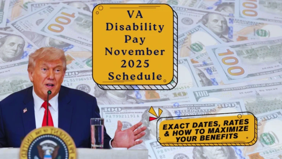 VA Disability Payments November 2025
